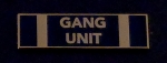 GANG UNIT Gold on BLUE Uniform Commendation Award Bar